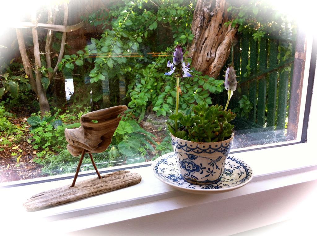 Sea Salt Bnb Rosebud Room photo