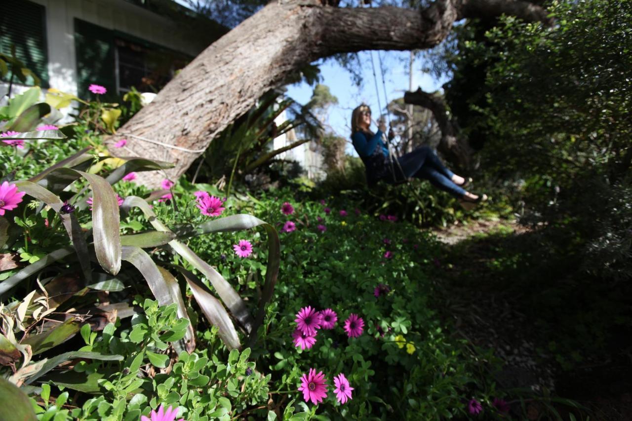 Sea Salt Bnb Rosebud Exterior photo